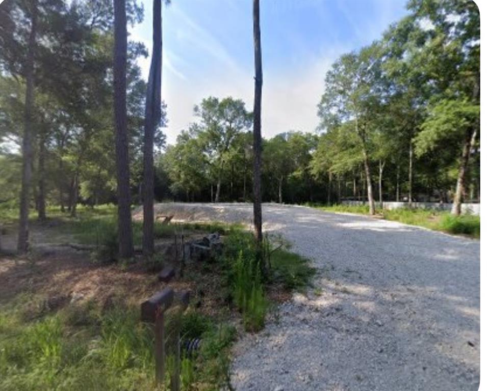 24780 Green Forest Drive, Splendora, Texas image 1