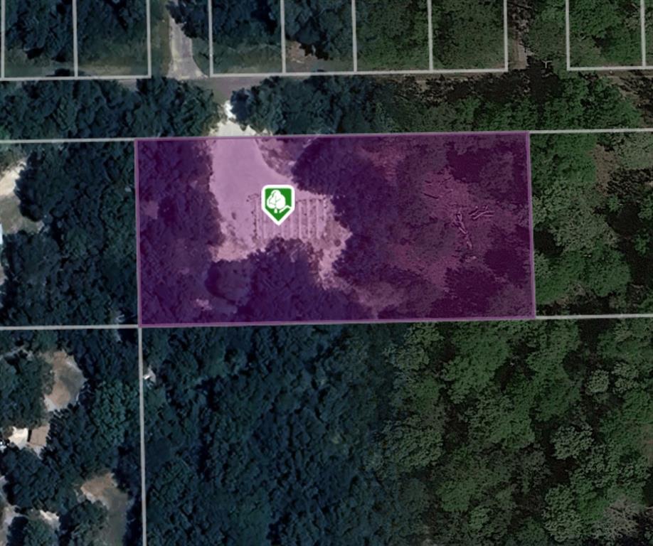 24780 Green Forest Drive, Splendora, Texas image 2