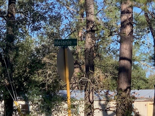 24780 Green Forest Drive, Splendora, Texas image 6