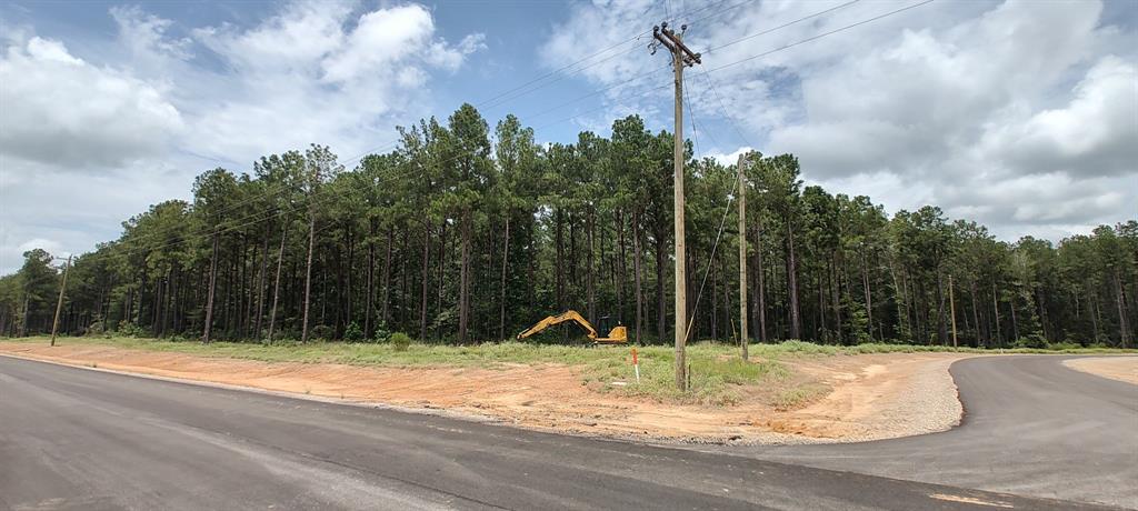 107 Henry Stuart Court, Huntsville, Texas image 3
