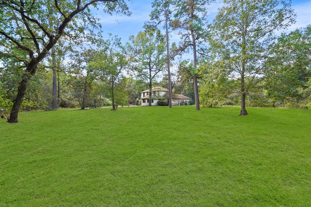302 Tall Pines Drive, Magnolia, Texas image 34