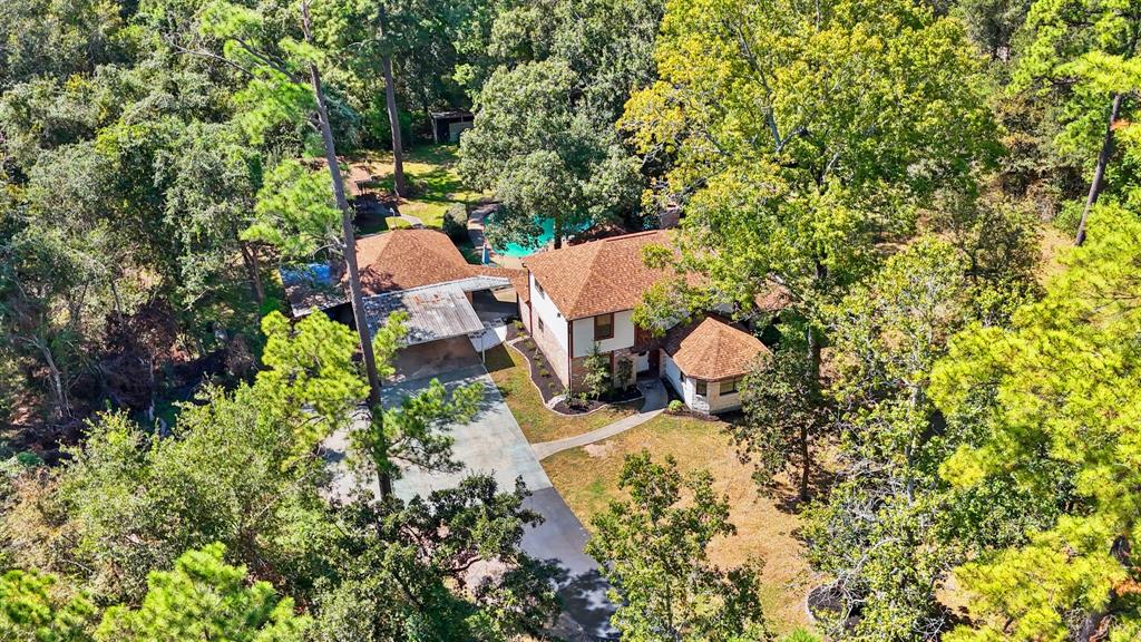 302 Tall Pines Drive, Magnolia, Texas image 43