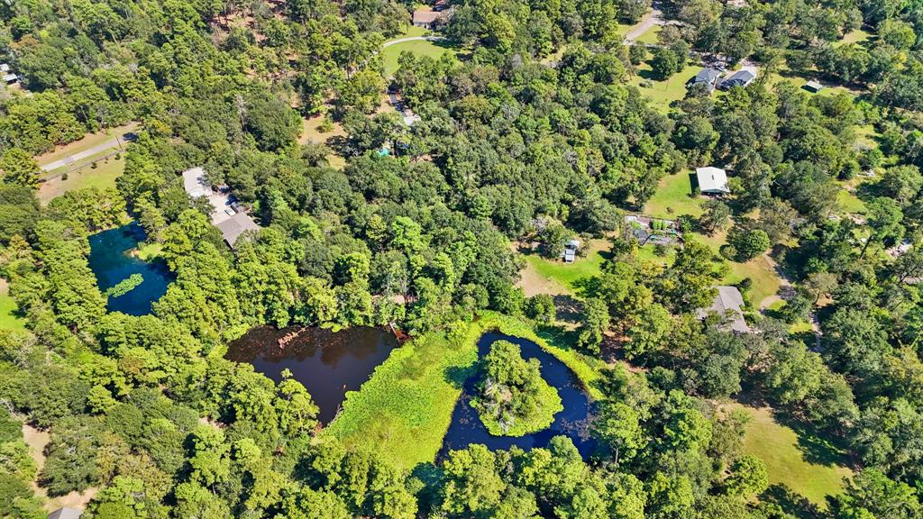 302 Tall Pines Drive, Magnolia, Texas image 48