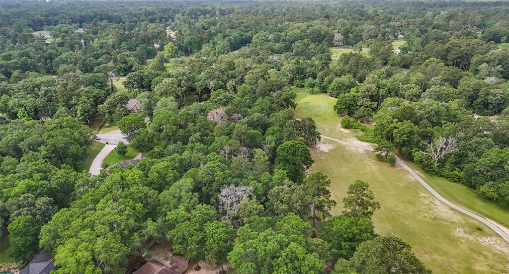 26726 Fairway Oaks Court, Huffman, Texas image 10