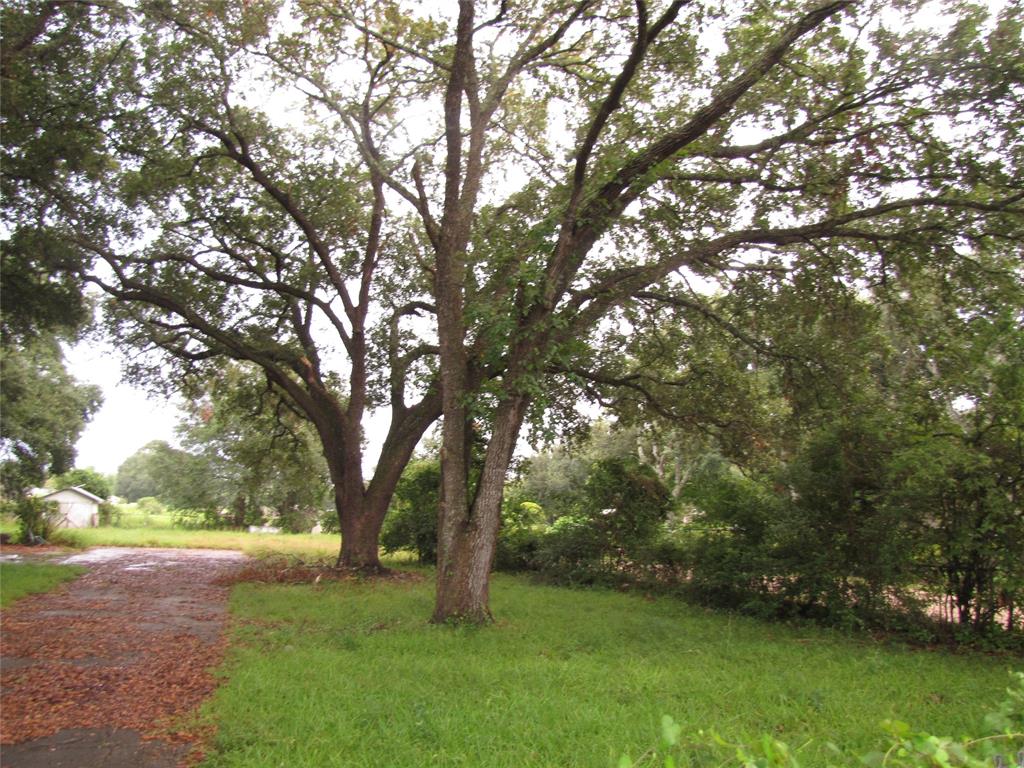28961 Fm 1488 Road