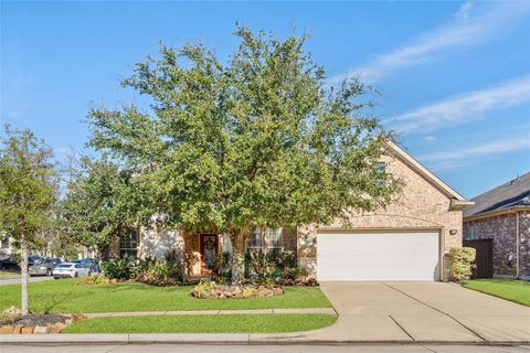 517 W Fork Webster TX 77598
