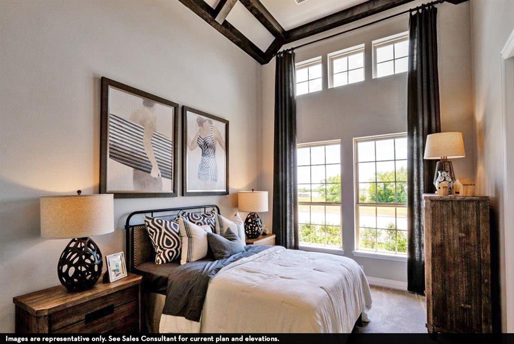 6207 Belleau Lake Drive, Katy, Texas image 19