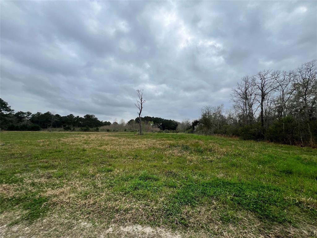 723 Haynes Road, Anahuac, Texas image 9