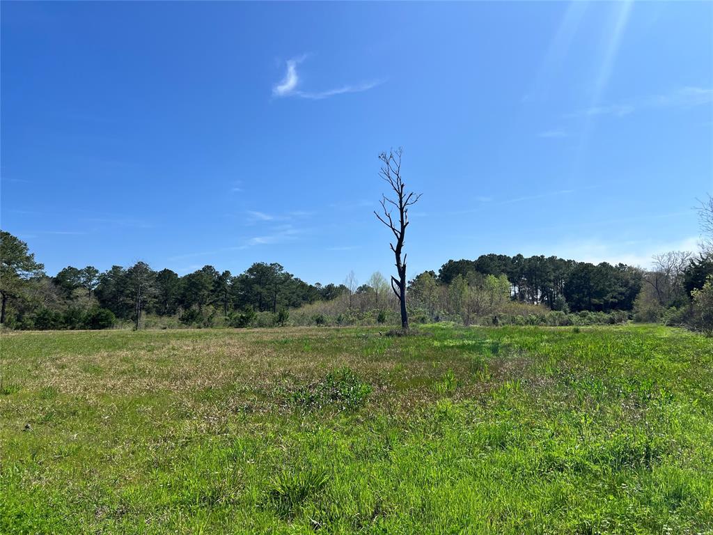 723 Haynes Road, Anahuac, Texas image 8