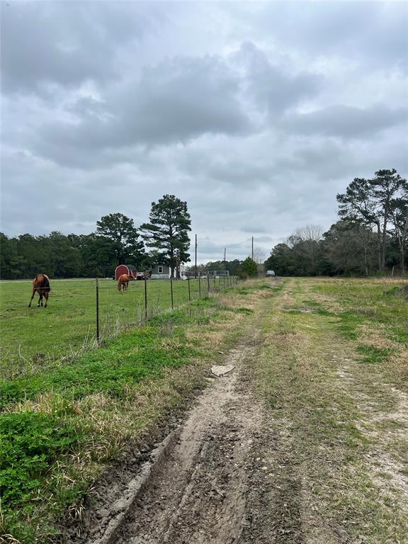 723 Haynes Road, Anahuac, Texas image 11