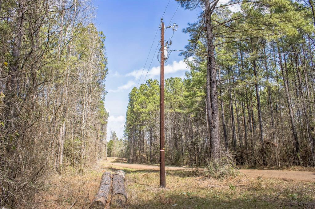 Sid Dennis Lane, San Augustine, Texas image 18