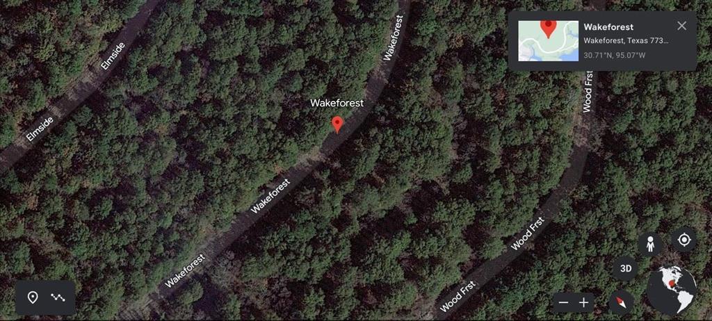 000 Wake Forest, Livingston, Texas image 1