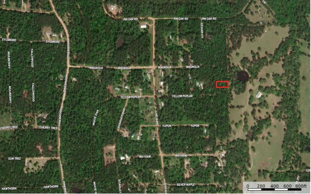 Lot 17 Yellow Poplar Lane, Plantersville, Texas image 8