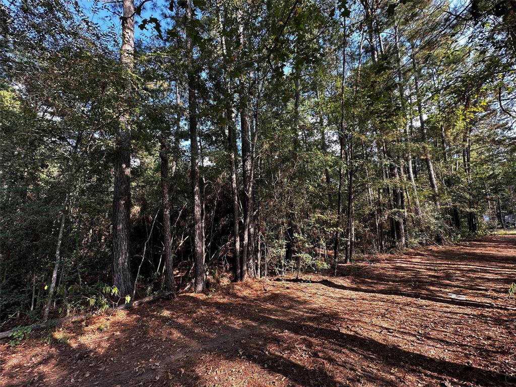 Lot 17 Yellow Poplar Lane, Plantersville, Texas image 1