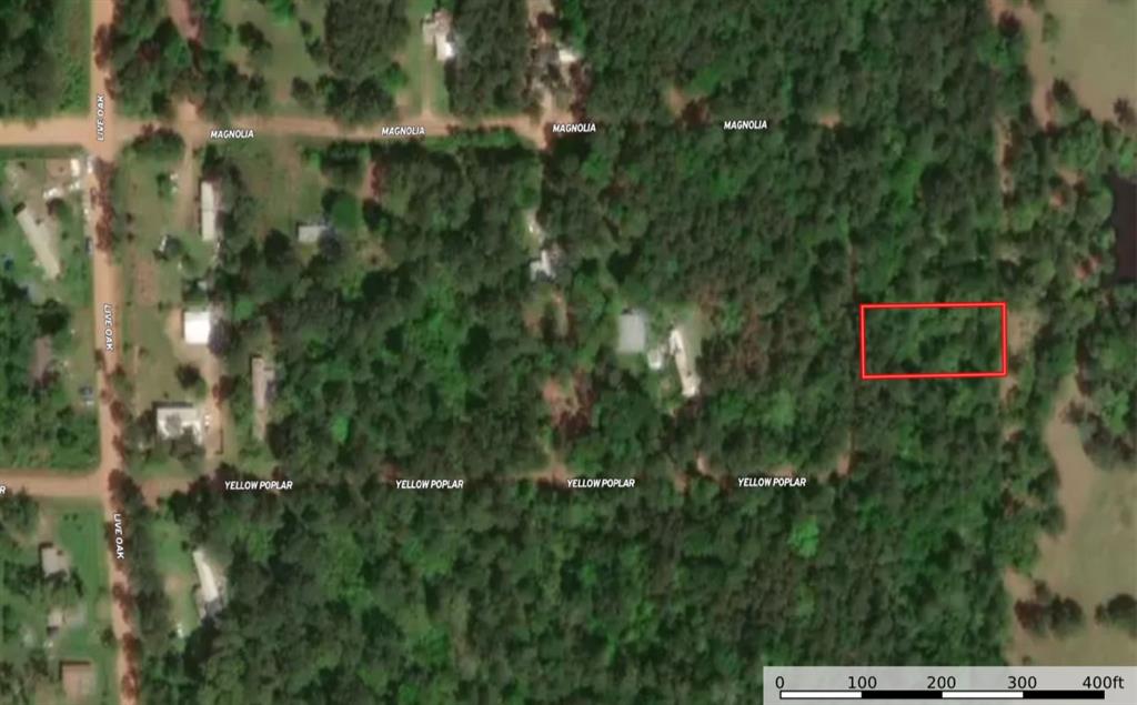 Lot 17 Yellow Poplar Lane, Plantersville, Texas image 9