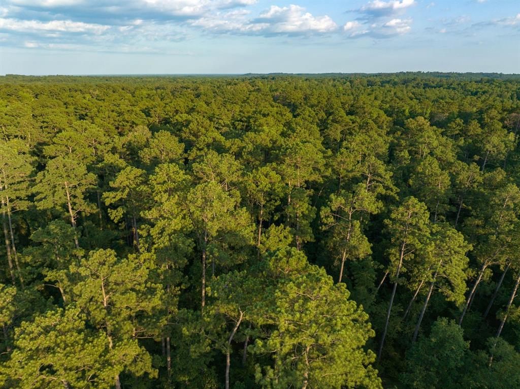 TBD 1 Fm-1414, Burkeville, Texas image 9