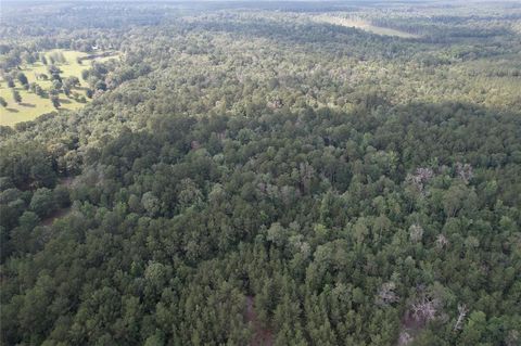 Photo of 0 Cr 1200, Hemphill, TX 75948 (MLS # 31007095)