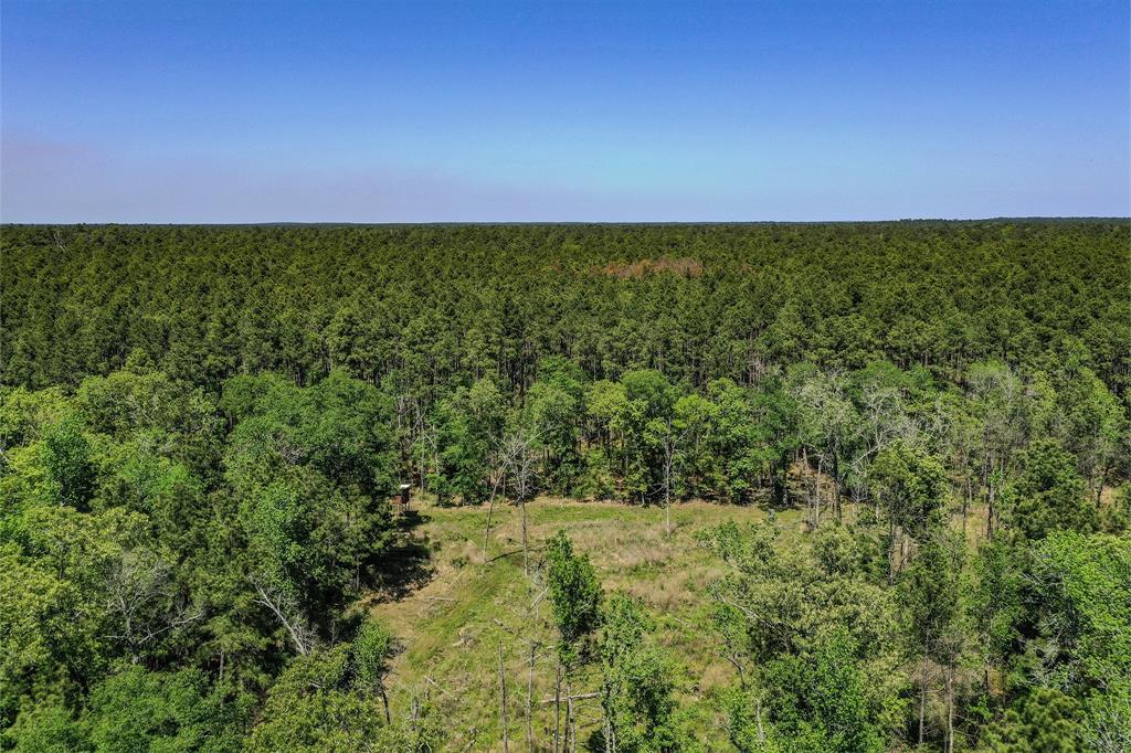 79.3 Acres Reese Rd, Pennington, Texas image 33