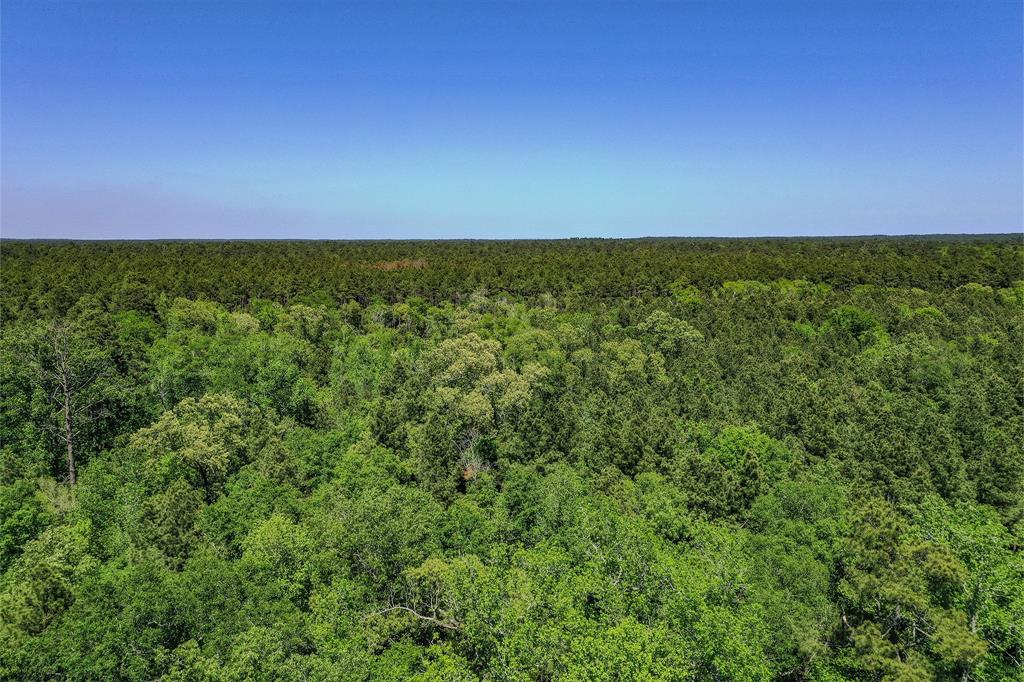 79.3 Acres Reese Rd, Pennington, Texas image 23