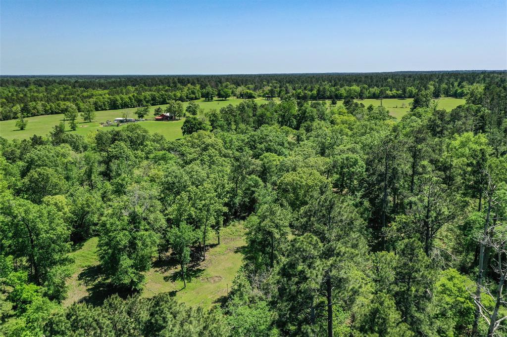 79.3 Acres Reese Rd, Pennington, Texas image 1