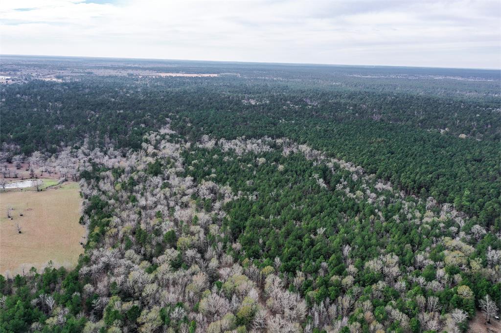 79.3 Acres Reese Rd, Pennington, Texas image 33