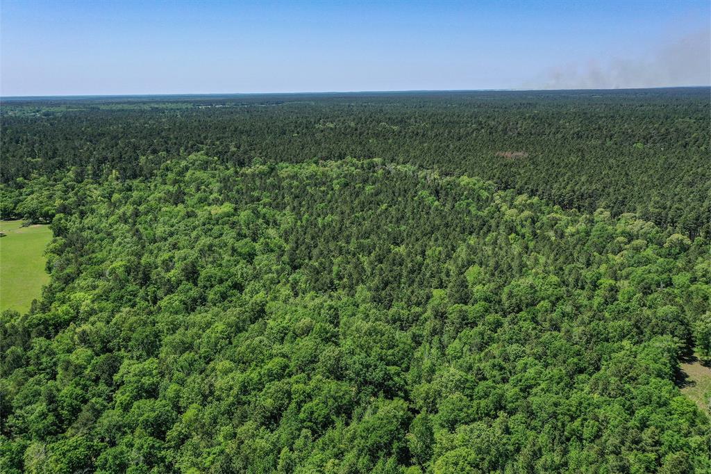 79.3 Acres Reese Rd, Pennington, Texas image 11