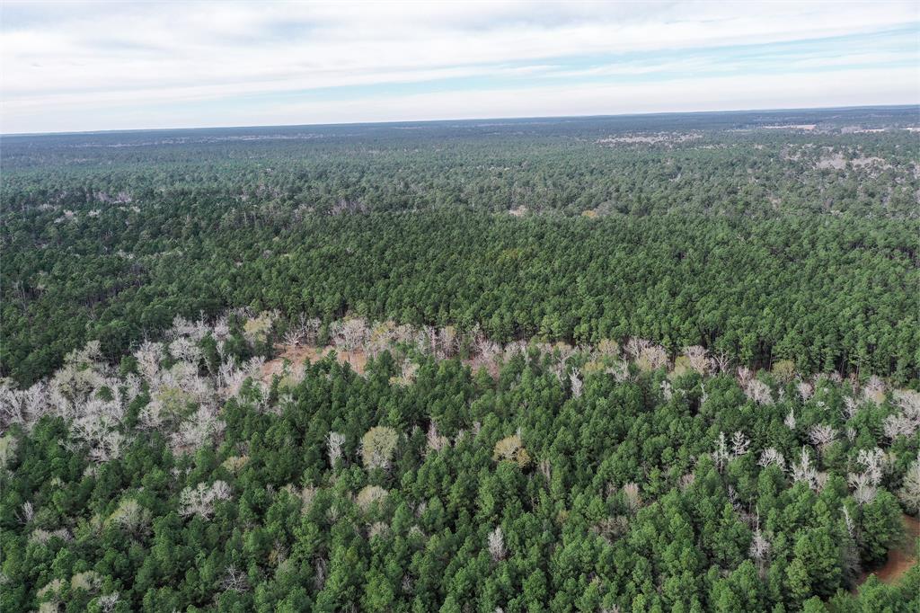 79.3 Acres Reese Rd, Pennington, Texas image 31