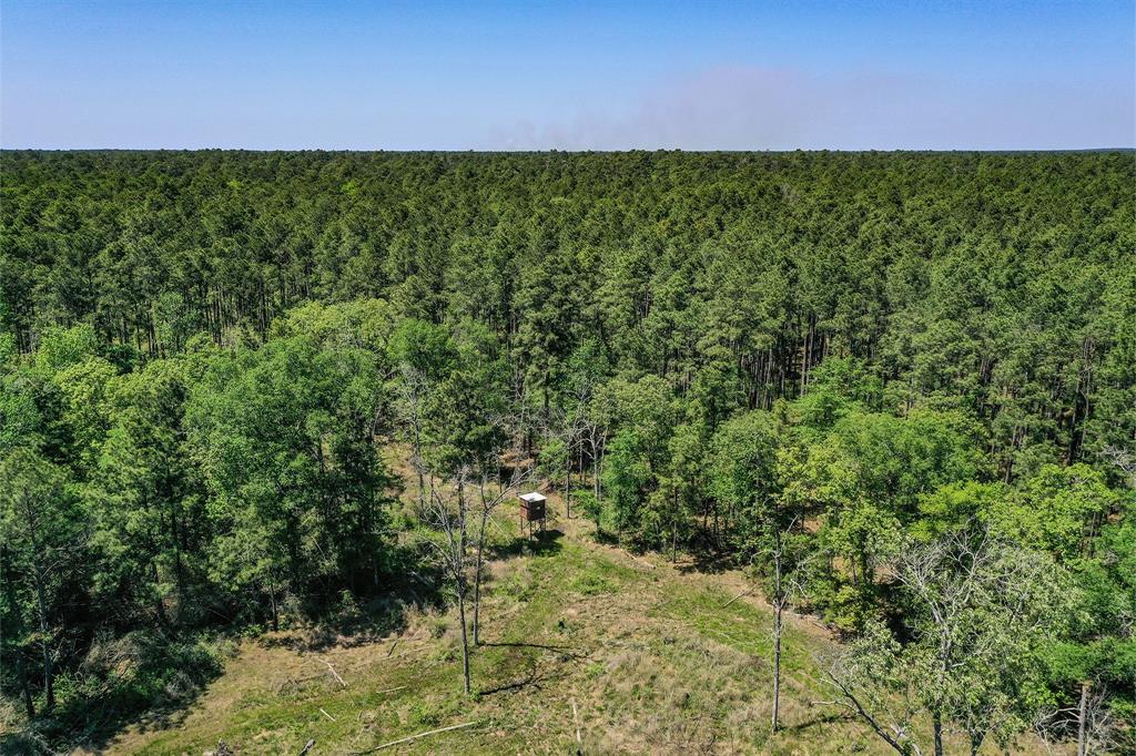 79.3 Acres Reese Rd, Pennington, Texas image 25