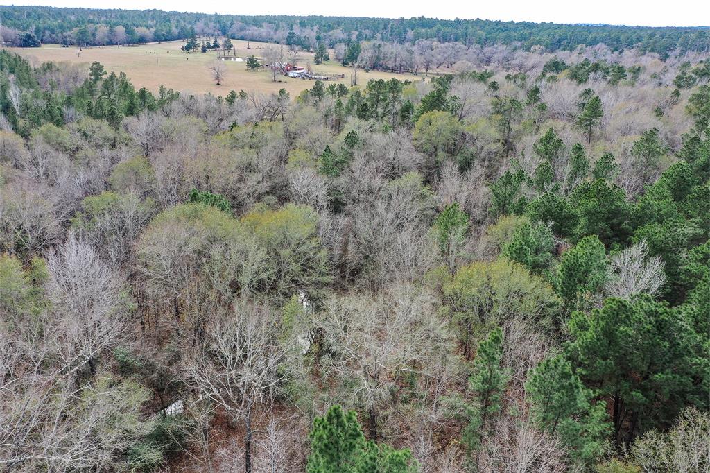 79.3 Acres Reese Rd, Pennington, Texas image 23