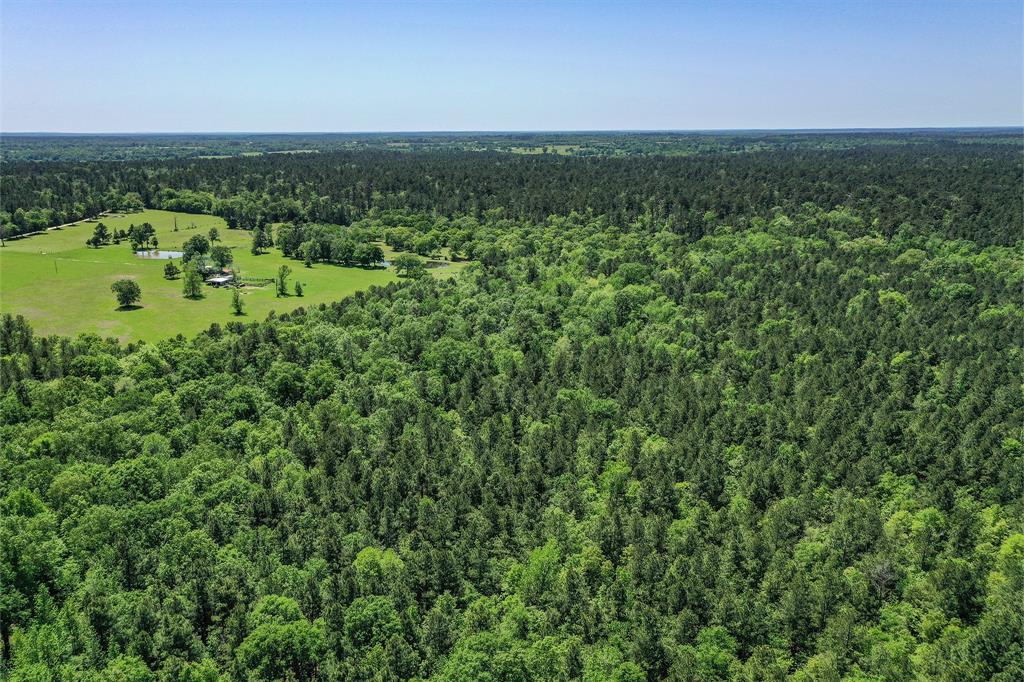 79.3 Acres Reese Rd, Pennington, Texas image 30