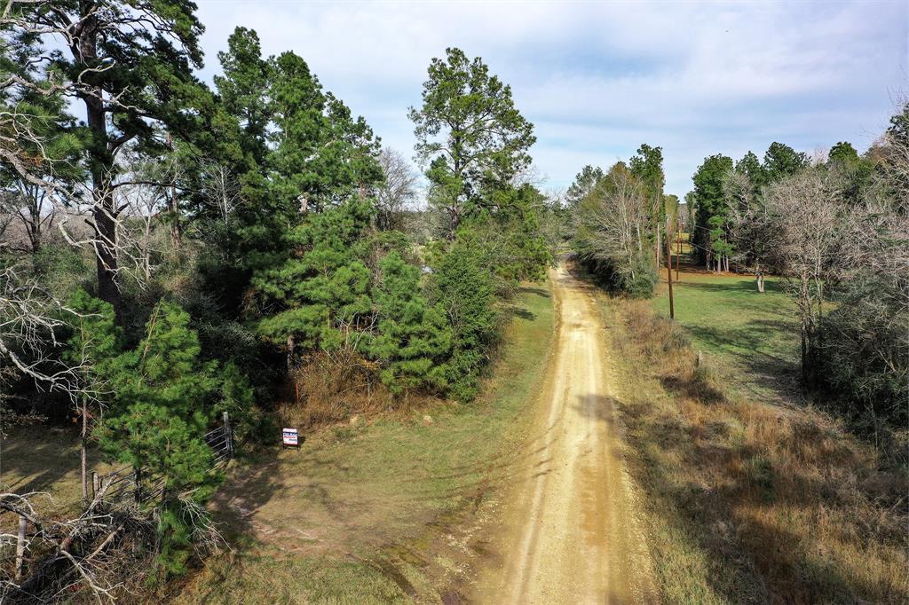 79.3 Acres Reese Rd, Pennington, Texas image 6