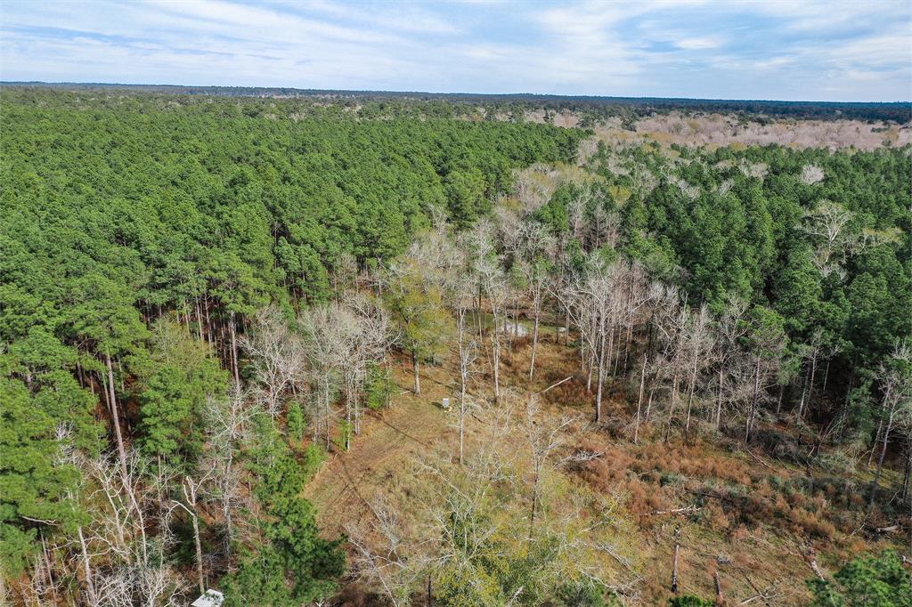 79.3 Acres Reese Rd, Pennington, Texas image 17