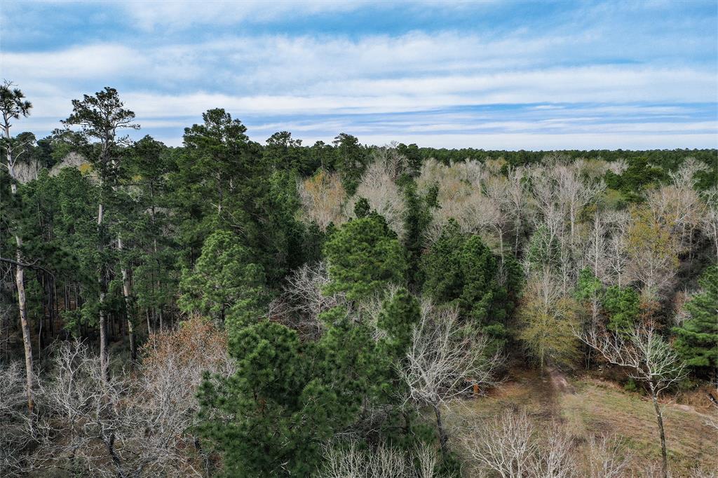 79.3 Acres Reese Rd, Pennington, Texas image 9