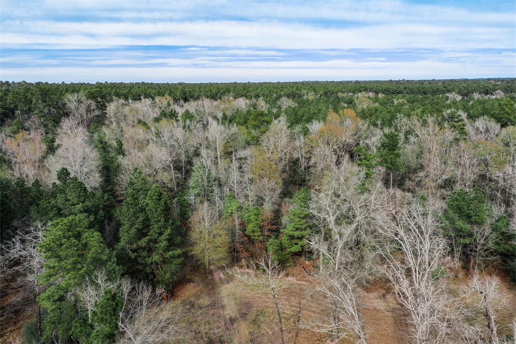 79.3 Acres Reese Rd, Pennington, Texas image 10