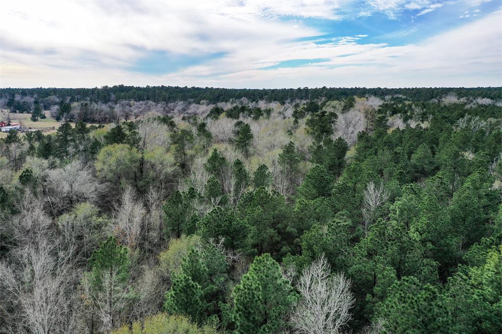 79.3 Acres Reese Rd, Pennington, Texas image 24