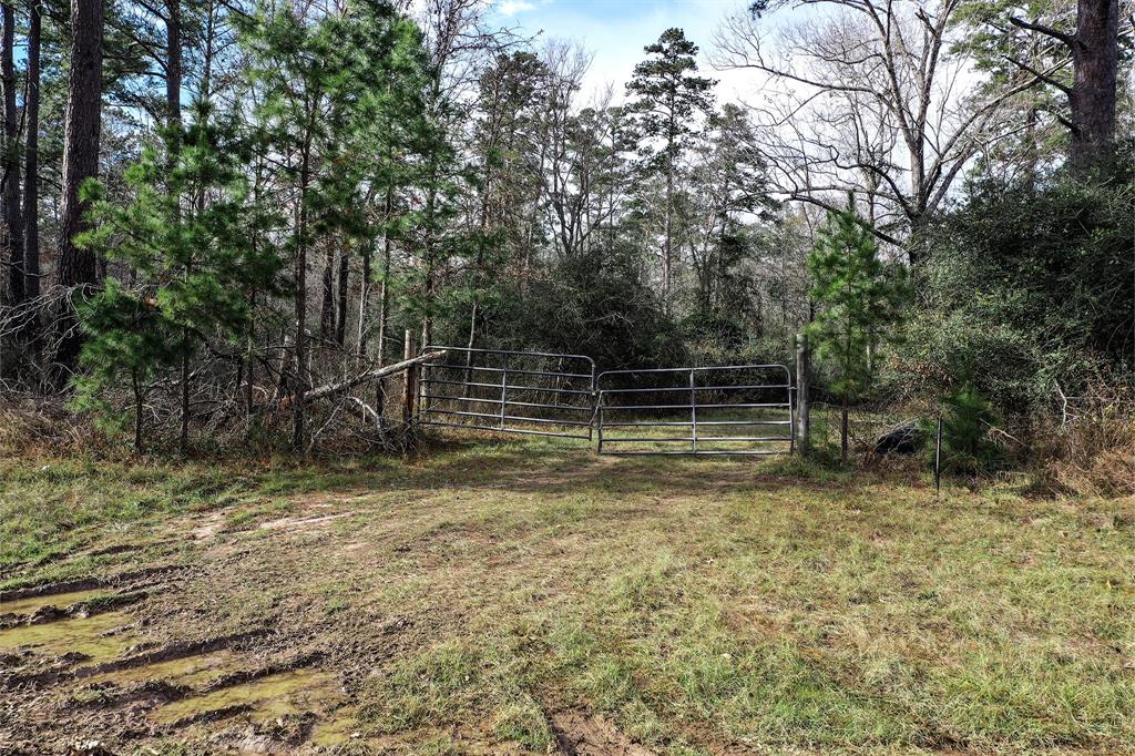 79.3 Acres Reese Rd, Pennington, Texas image 30