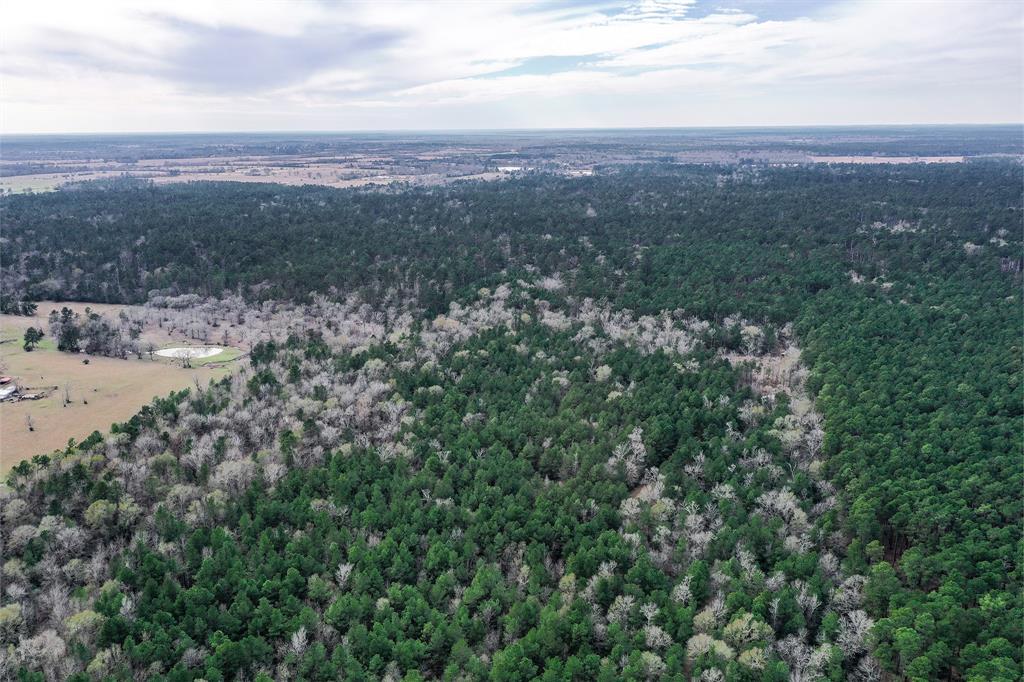 79.3 Acres Reese Rd, Pennington, Texas image 32