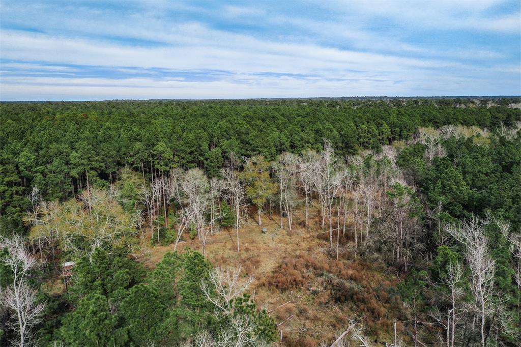 79.3 Acres Reese Rd, Pennington, Texas image 11