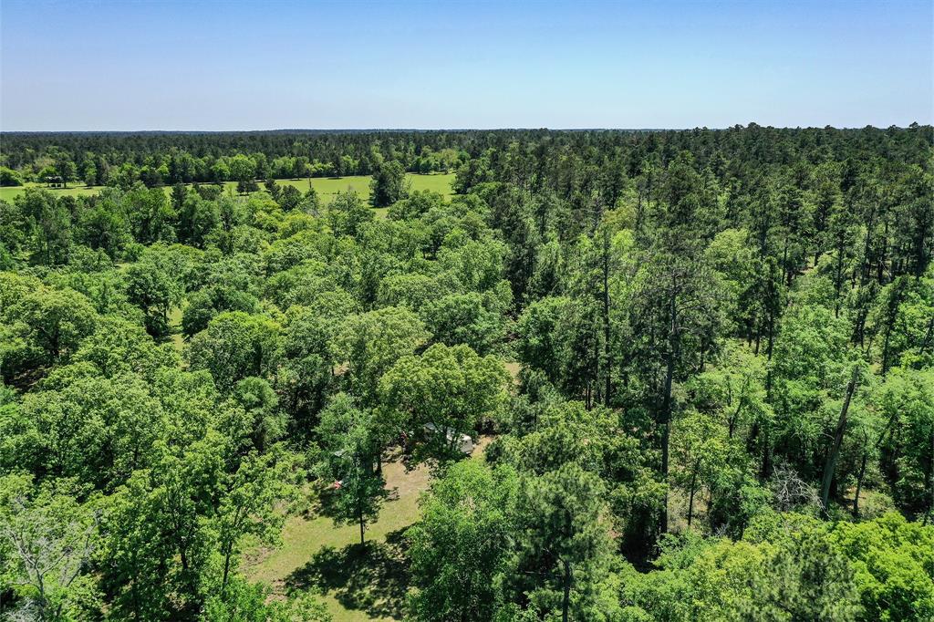 79.3 Acres Reese Rd, Pennington, Texas image 34