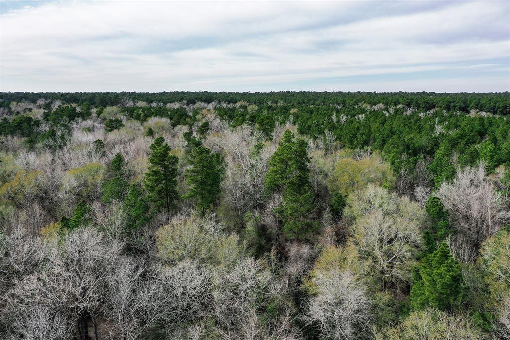 79.3 Acres Reese Rd, Pennington, Texas image 28