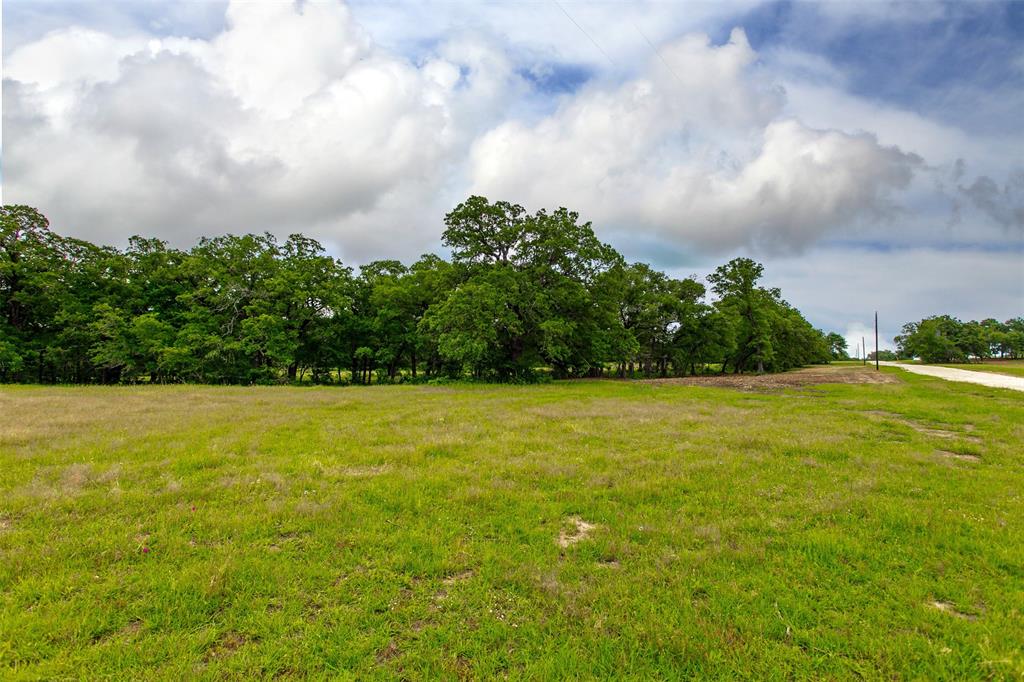 380 Green Acres Lane, Milano, Texas image 2