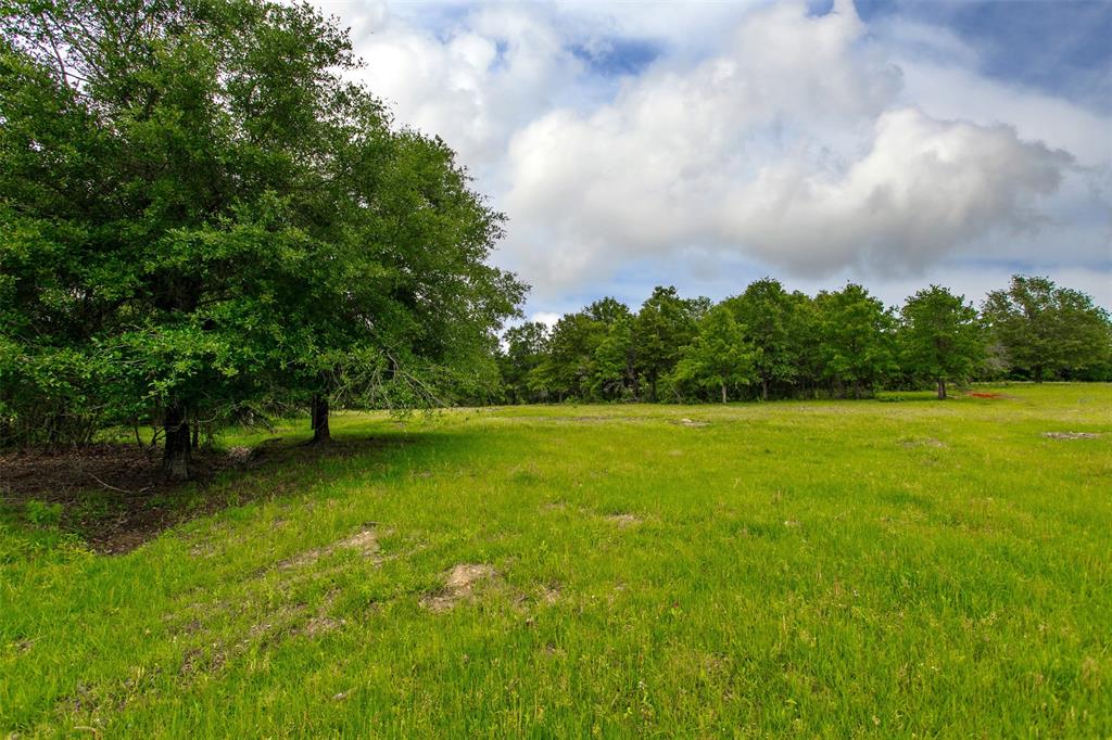 380 Green Acres Lane, Milano, Texas image 6