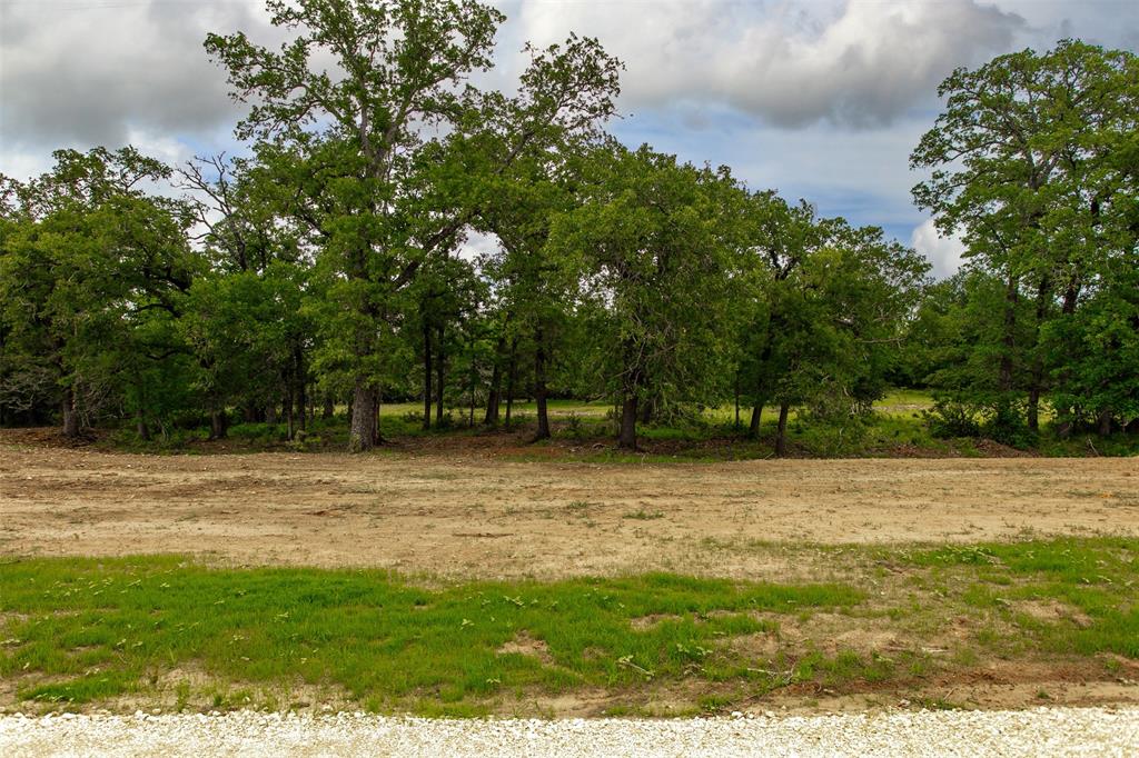 380 Green Acres Lane, Milano, Texas image 5