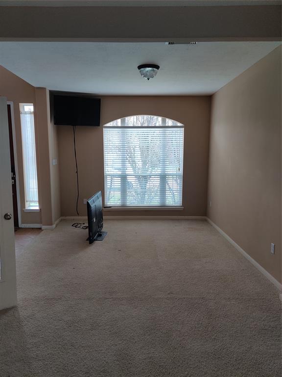8226 Sierra Dawn Drive, Tomball, Texas image 23