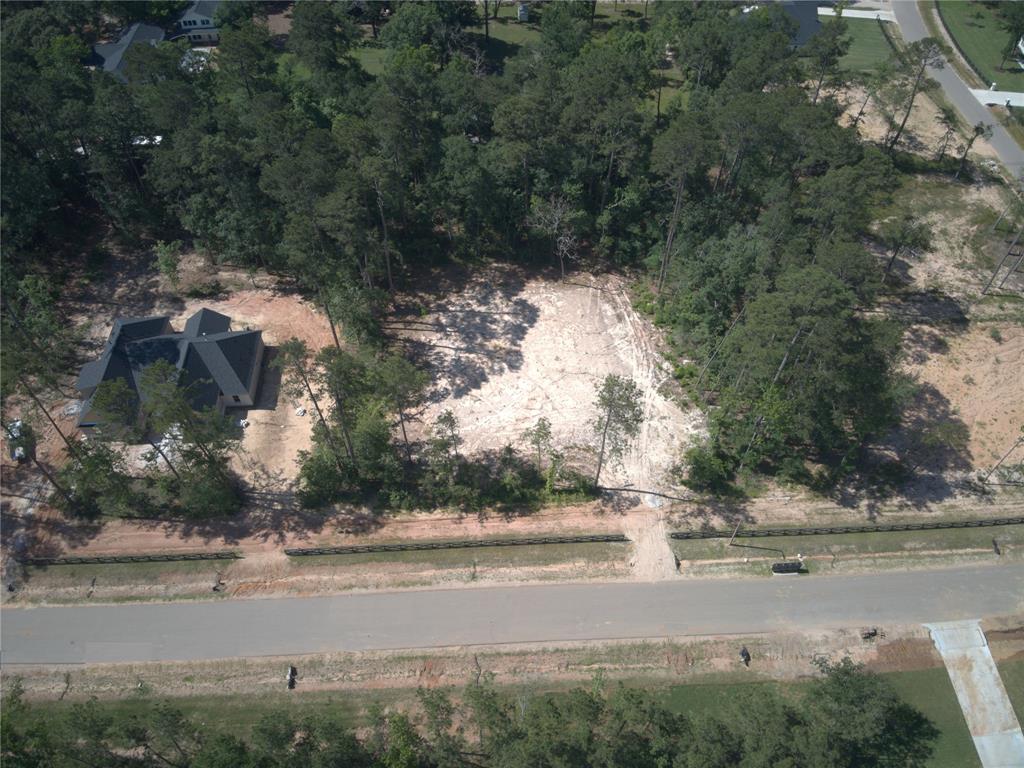 21321 Monarch Drive, Montgomery, Texas image 6