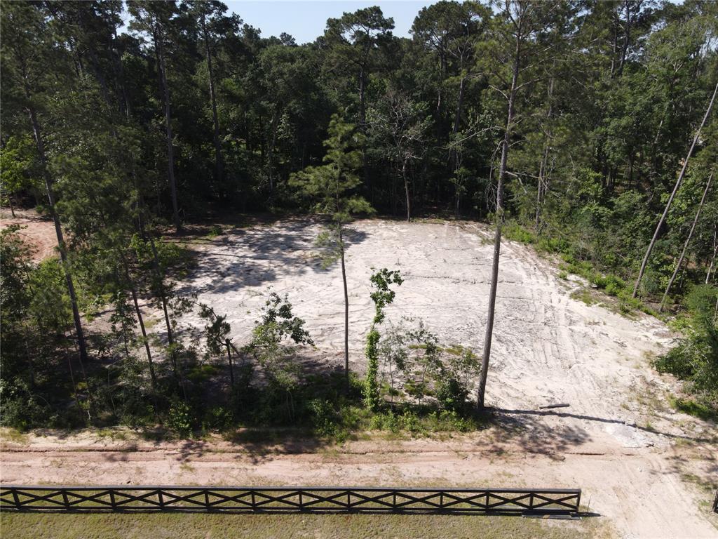 21321 Monarch Drive, Montgomery, Texas image 1