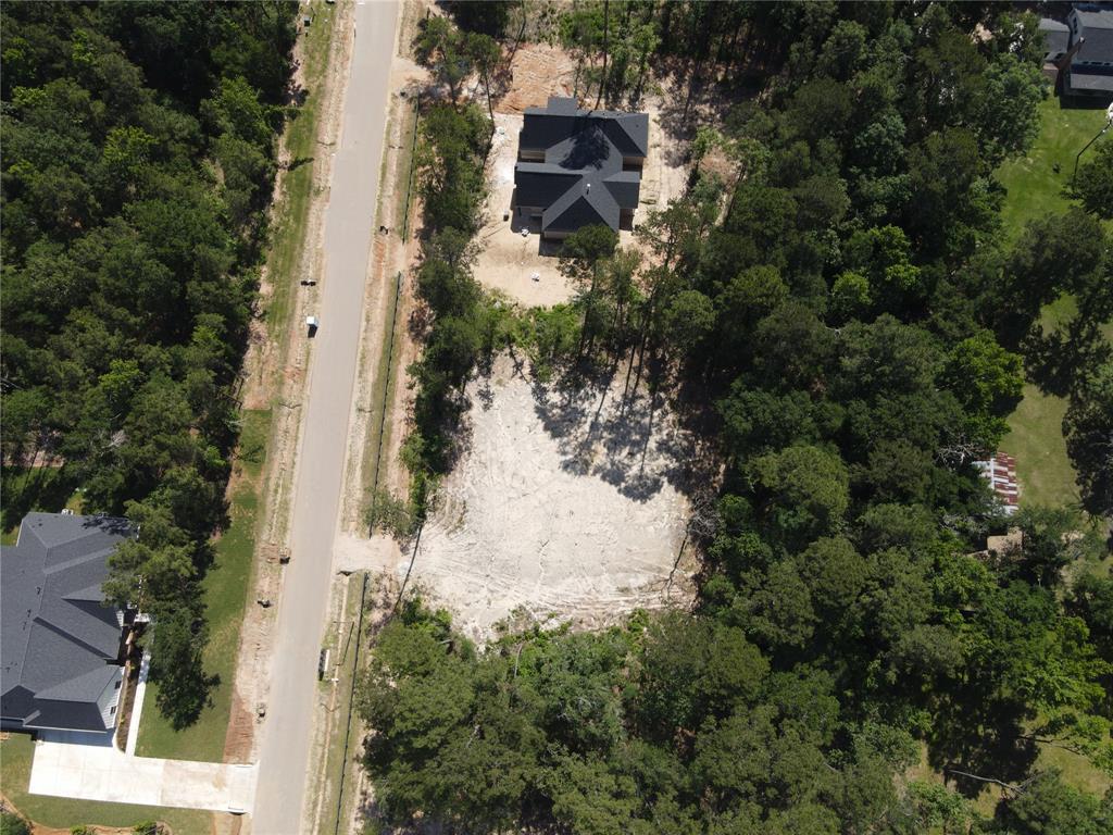 21321 Monarch Drive, Montgomery, Texas image 3