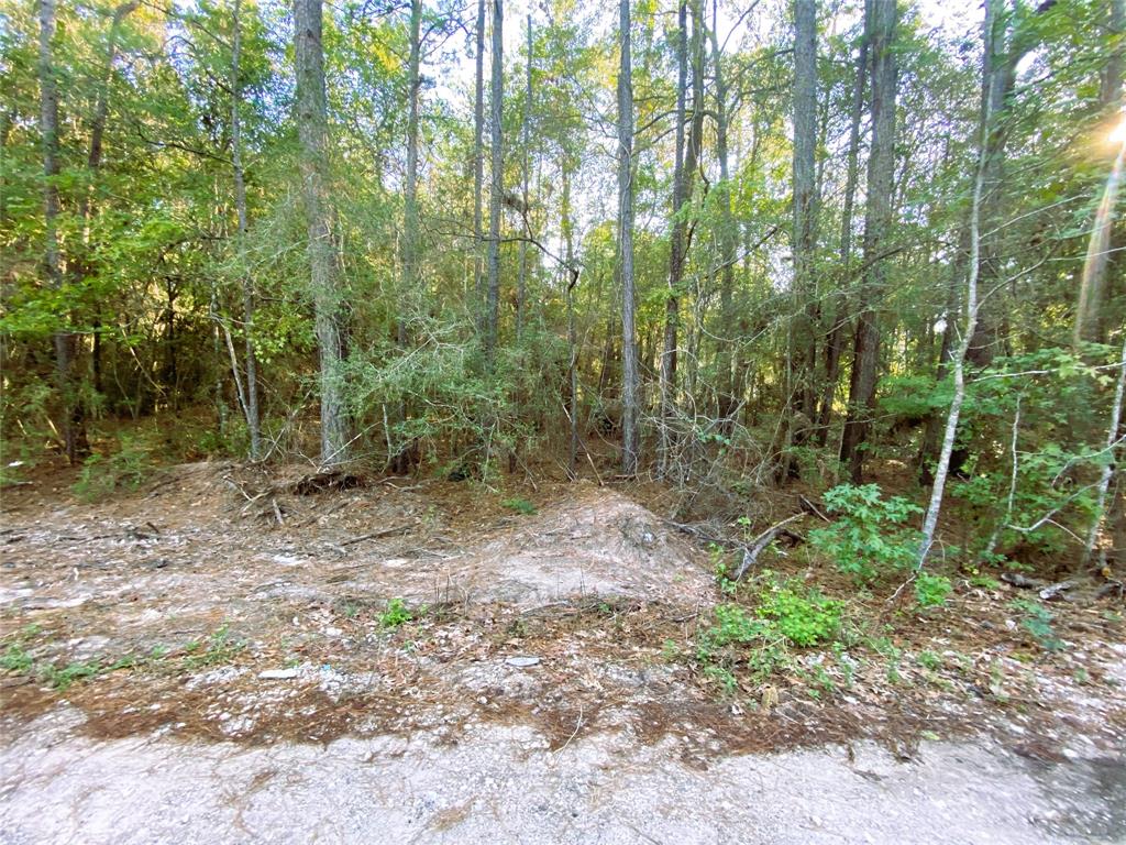 19065 Lincoln Street, New Caney, Texas image 2