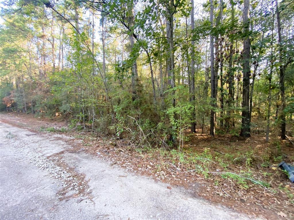 19065 Lincoln Street, New Caney, Texas image 11