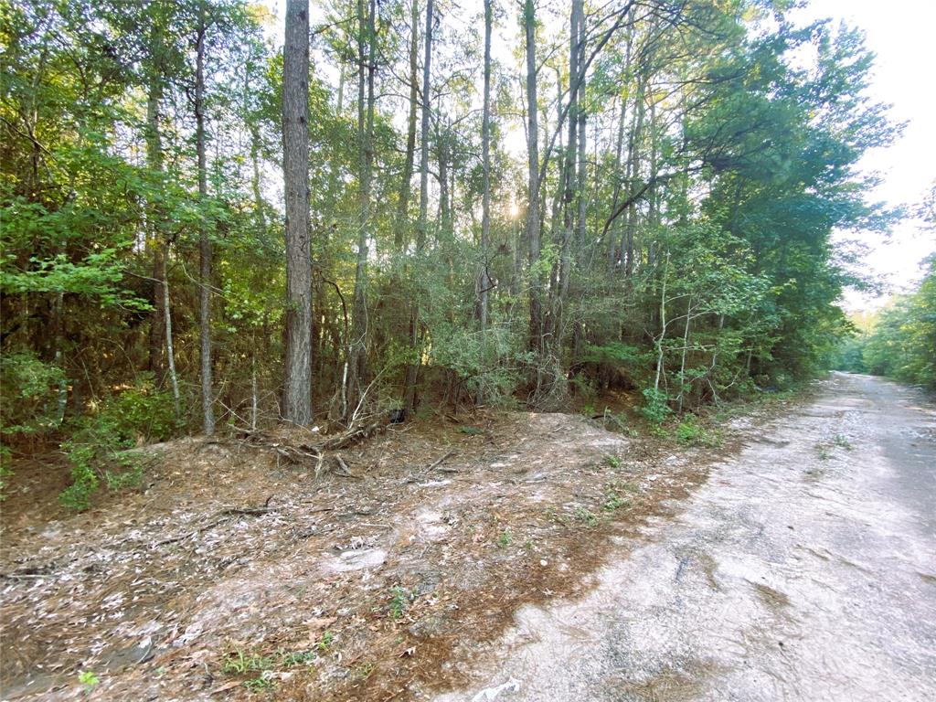 19065 Lincoln Street, New Caney, Texas image 3